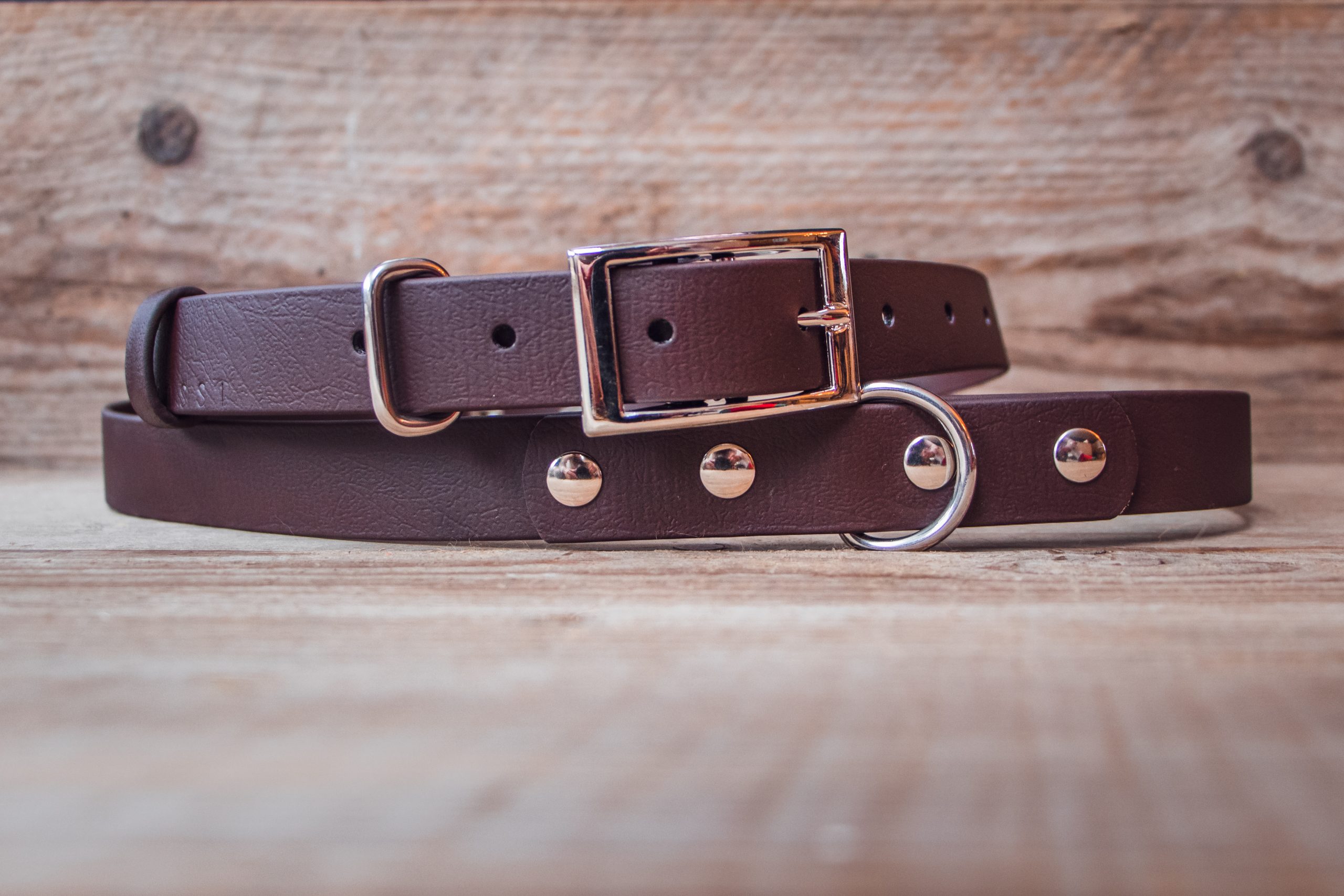 The Human One - Basic - Image 3