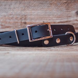 The Human One – Basic