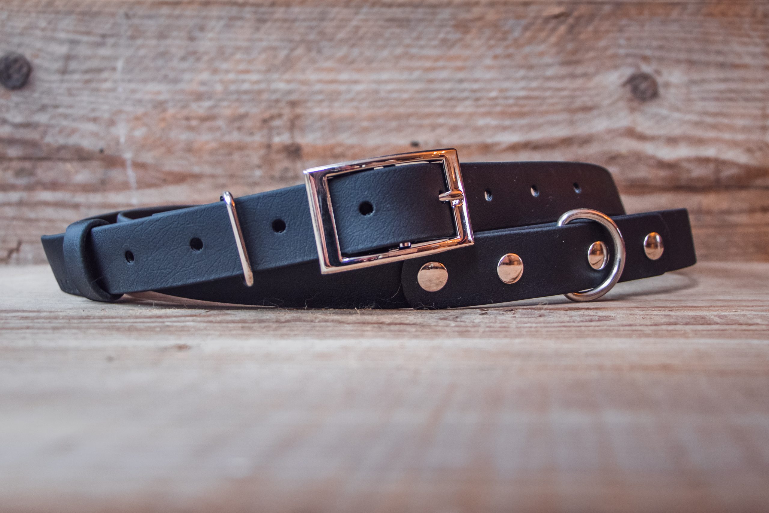 The Human One - Basic