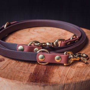 The Multifunctional One