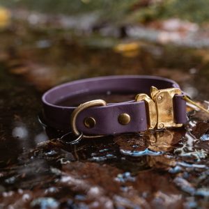 The Single One – Basic