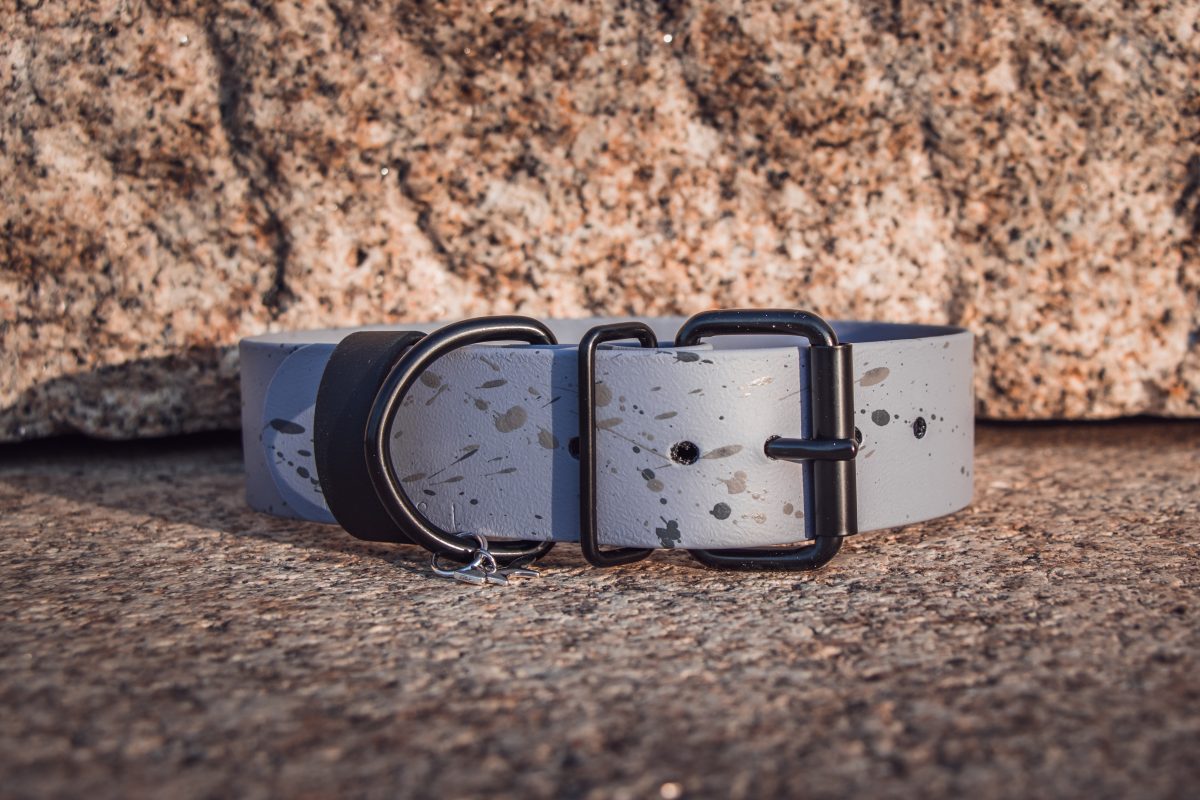 The Fenrir Big Collar Rossi.dog