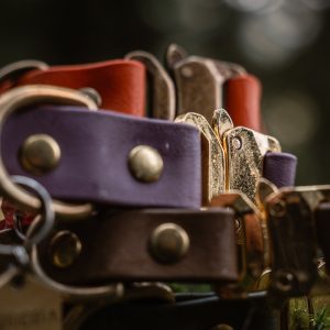 The Single One – Basic