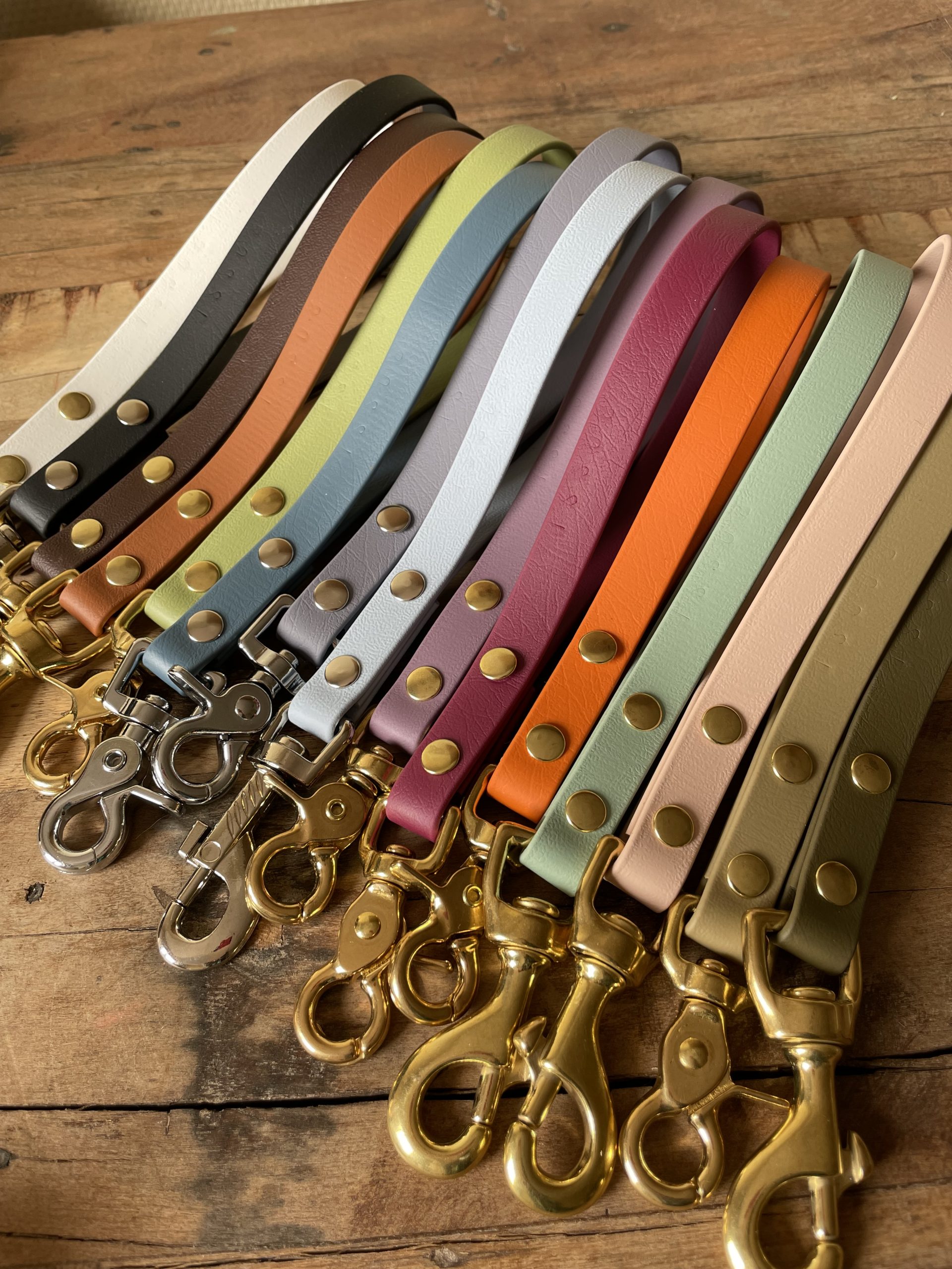 The Human One - Basic - Image 2