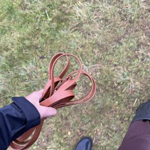 The Lead One – Cinnamon