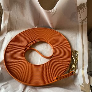 The Lead One – Pumpkin