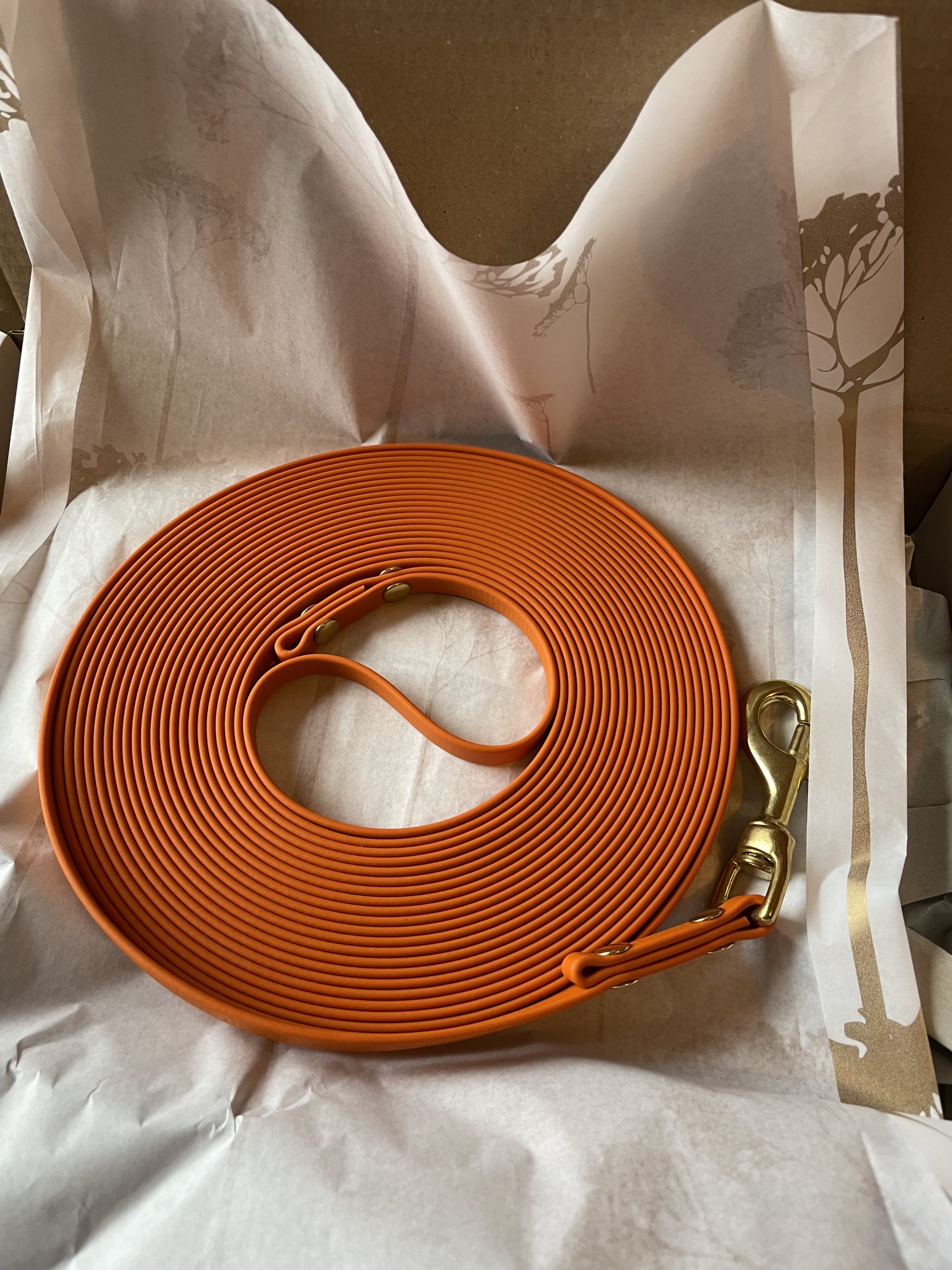 The Tracking Lead - Pumpkin