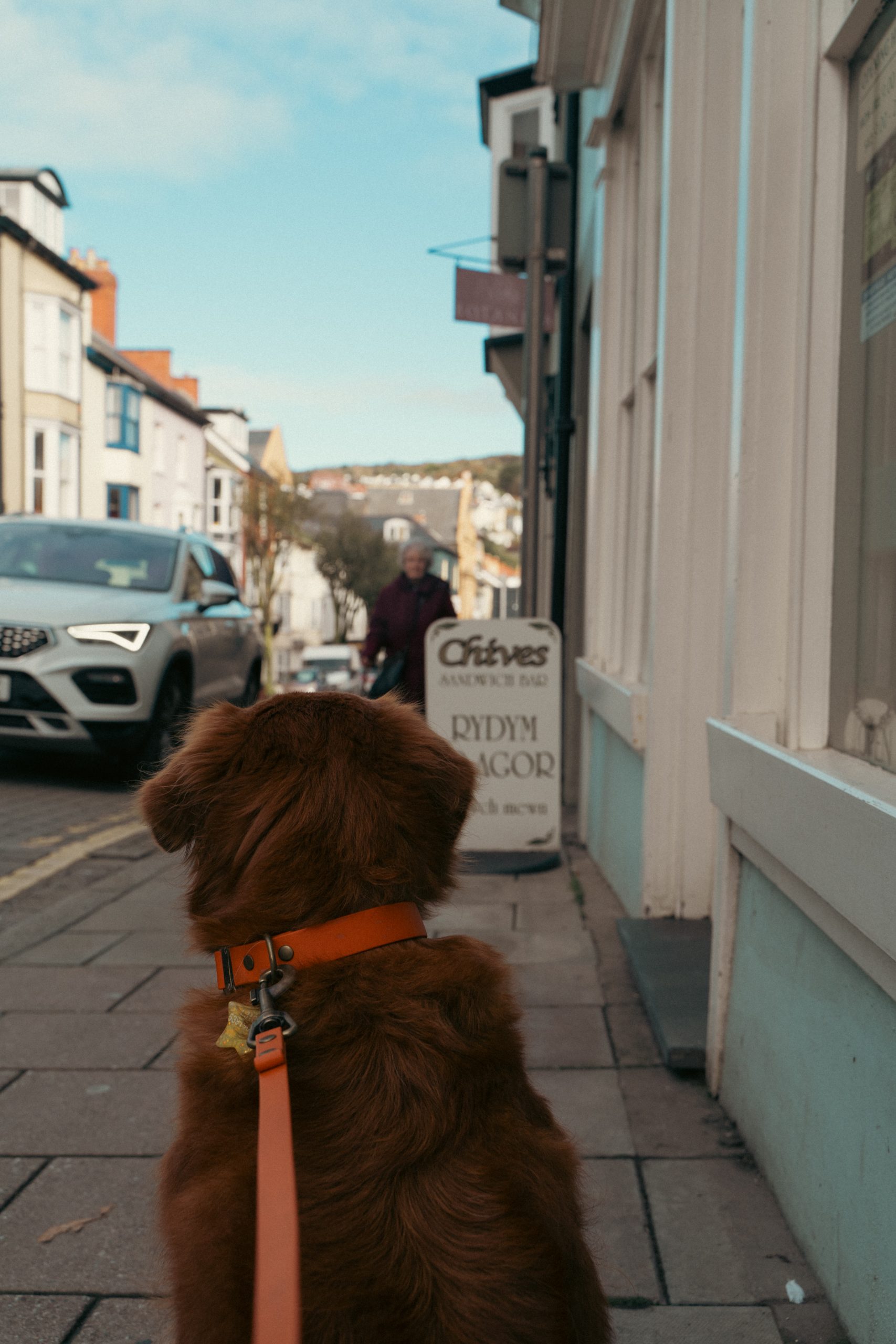 The Tracking Lead - Pumpkin - Afbeelding 2