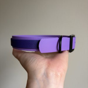 Eggplant X Grape collar