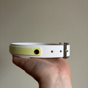 Salt X Pastel Yellow collar