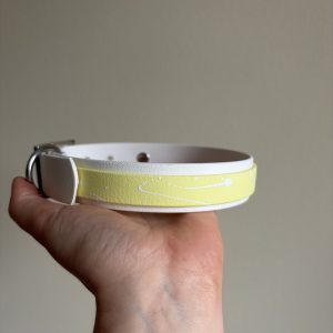 Salt X Pastel Yellow collar